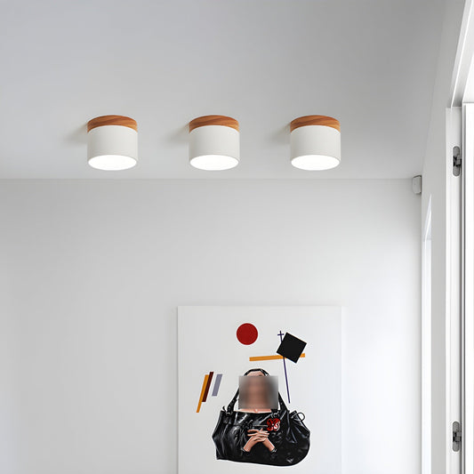 Alva Wooden Surface Downlight 1001 Ceiling lamp