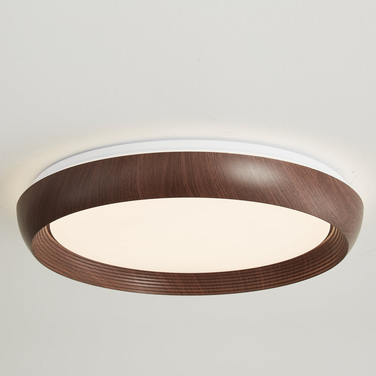 Novera Grain Ring Ceiling Light