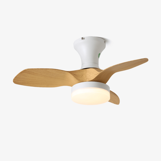 Brisa Ceiling Fan Light 1001 Ceiling fan light