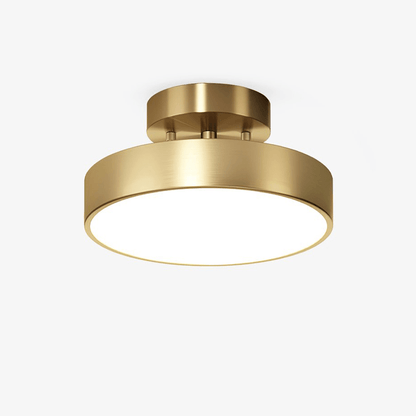 Meridian Rotatable LED Ceiling Light