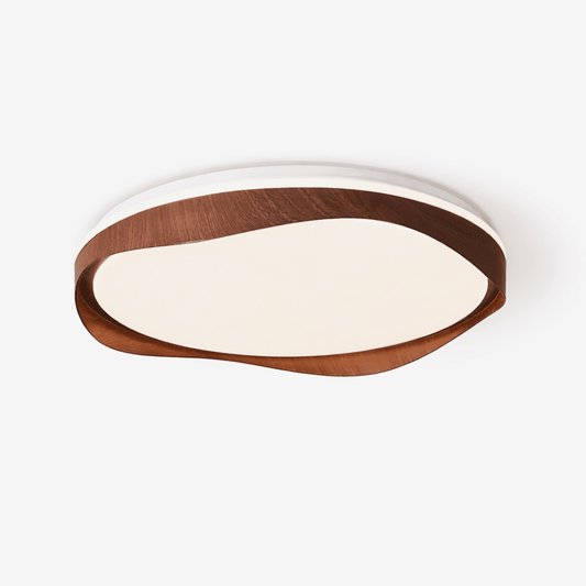 Arvyn Loop Ceiling Light