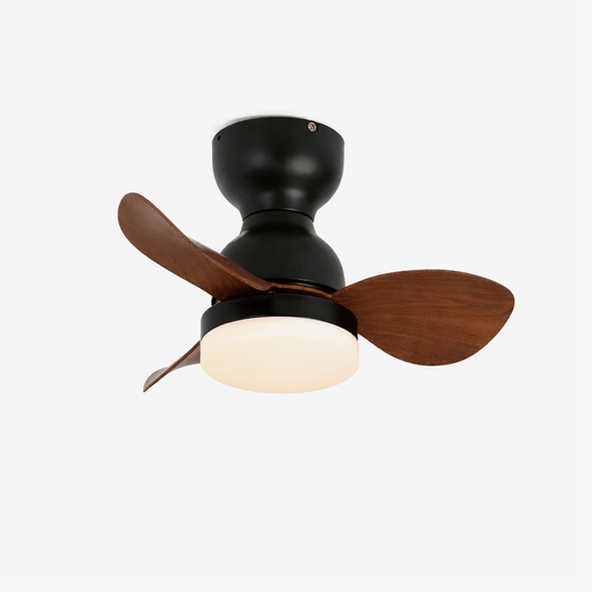 Aeroleaf Ceiling Fan Light
