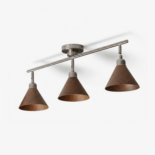 Axiom Directional Ceiling Lamp