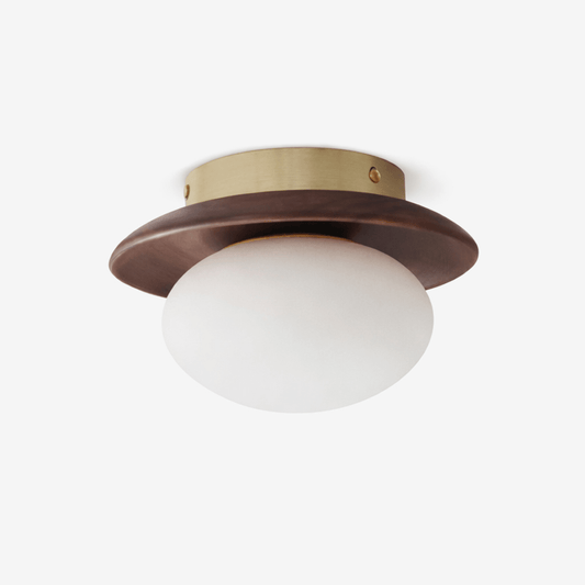 Brio Dome Ceiling Light