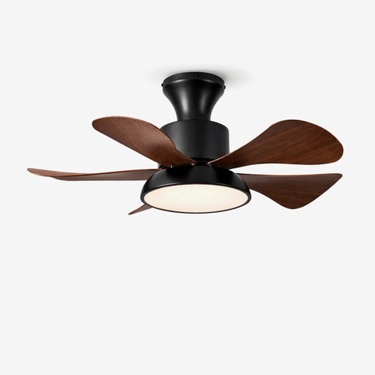 Velmora Ceiling Fan Light