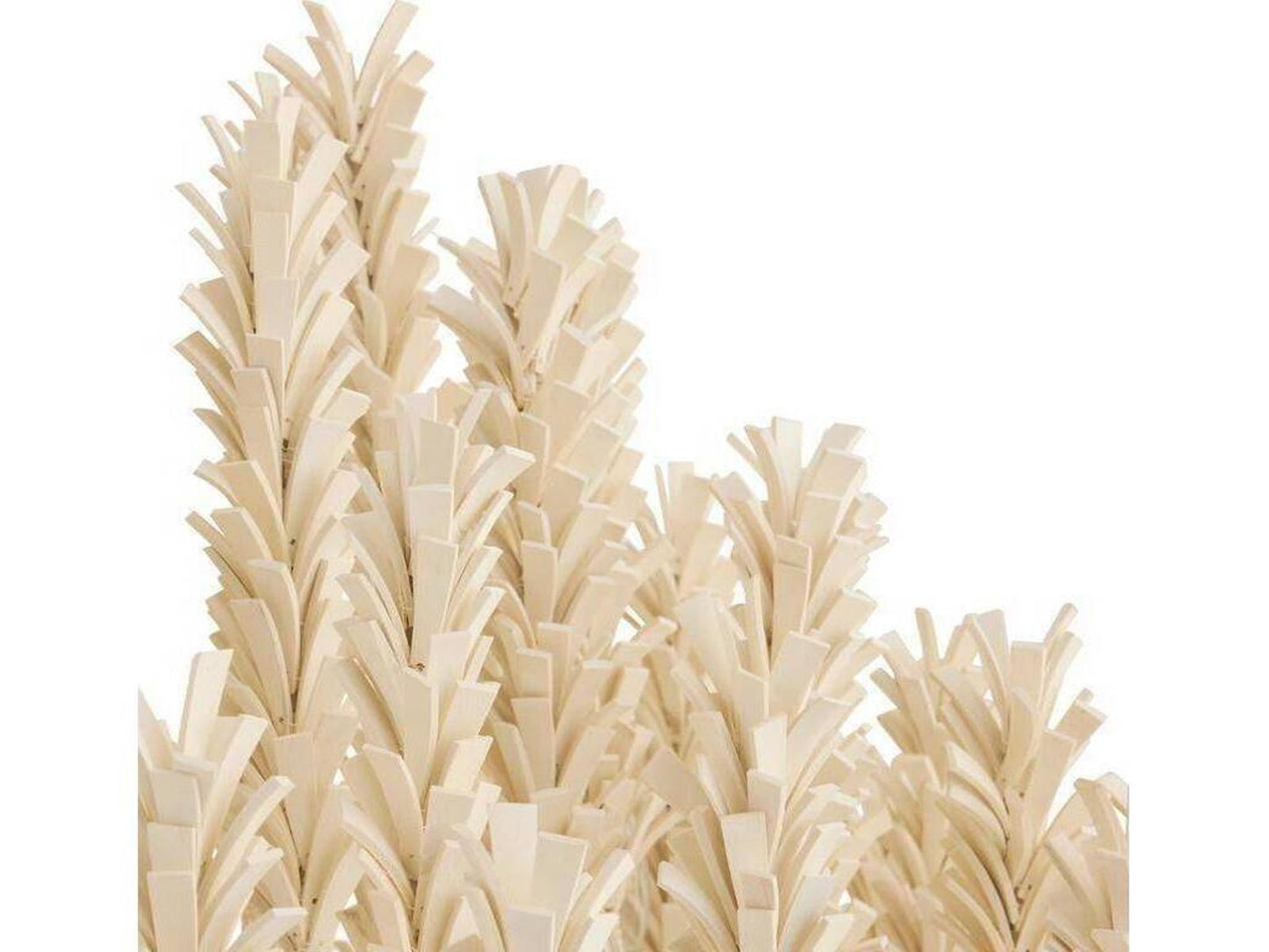 Arteriors Home Kaia 6-Light Chandelier in Ivory Coconut Shell and White Iron