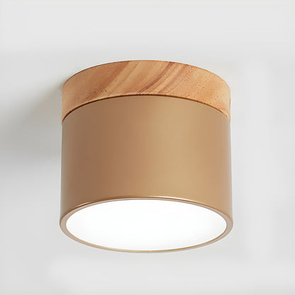 Alva Wooden Surface Downlight ∅ 3.9″ x H 3.1″ / Coffee / Cool Light 1001 Ceiling lamp
