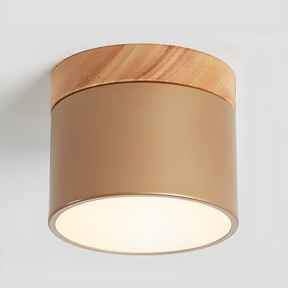 Alva Wooden Surface Downlight ∅ 3.9″ x H 3.1″ / Coffee / Warm Light 1001 Ceiling lamp
