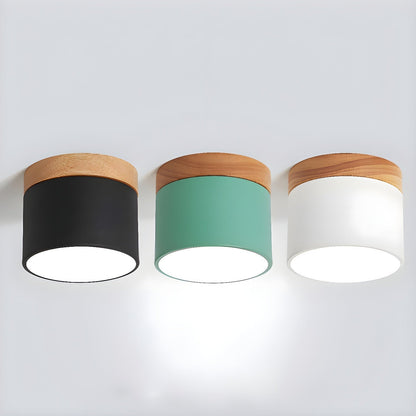 Alva Wooden Surface Downlight 1001 Ceiling lamp
