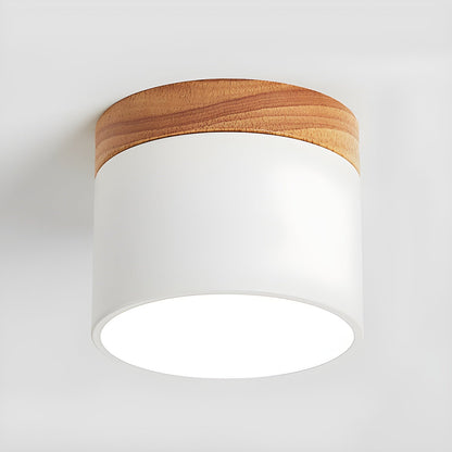 Alva Wooden Surface Downlight ∅ 3.9″ x H 3.1″ / White / Cool Light 1001 Ceiling lamp
