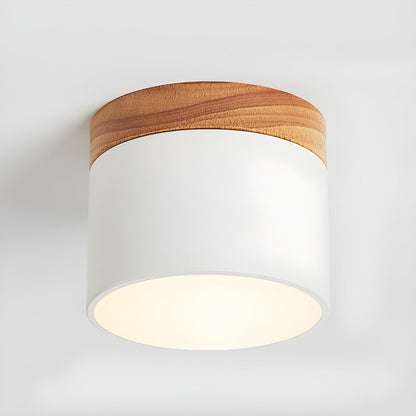 Alva Wooden Surface Downlight ∅ 3.9″ x H 3.1″ / White / Warm Light 1001 Ceiling lamp