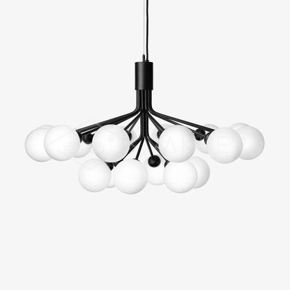 Apiales Chandelier