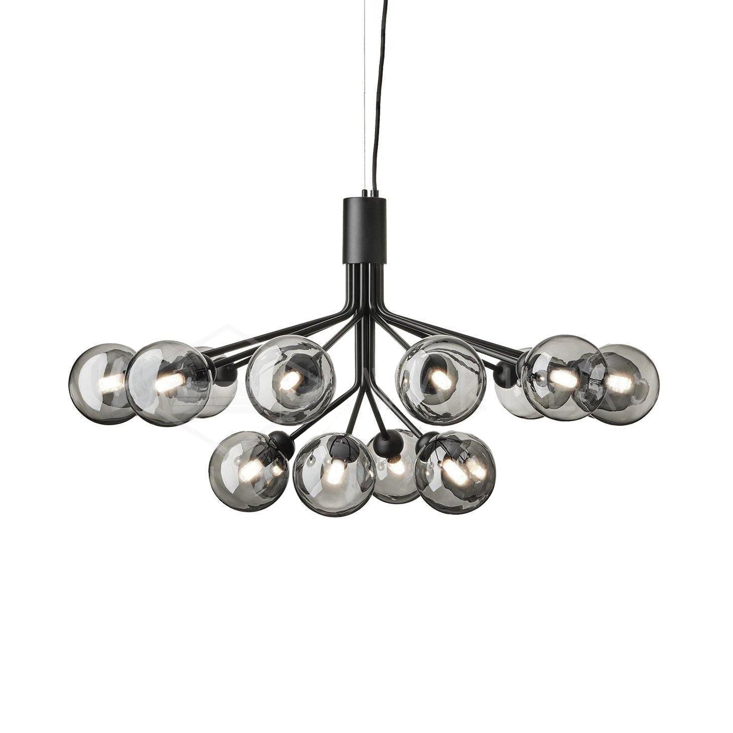 Apiales Chandelier