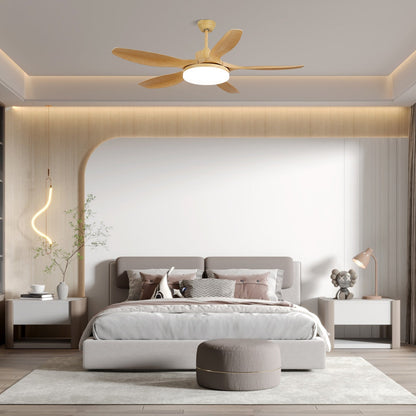 Keltis 42’’/52’’ Ceiling Fan Light Ceiling fan light