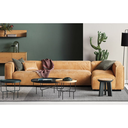Cleon Medium Plus Leather Sectional Sofa