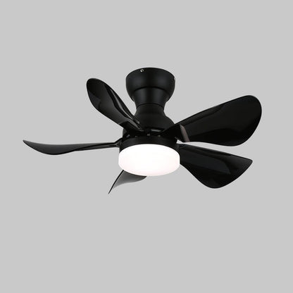 Small Arilia 29’’ Ceiling Fan Light ∅ 29″ x H 11.8″ / Black / Three-Color Changing Light Ceiling fan light