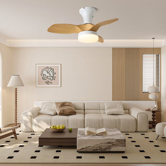 Brisa Ceiling Fan Light 1001 Ceiling fan light