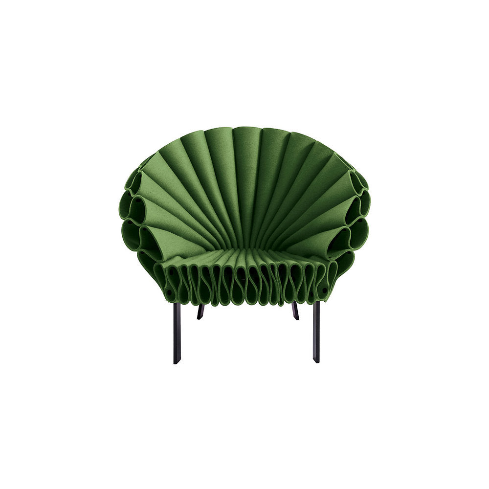 Peacock Chair