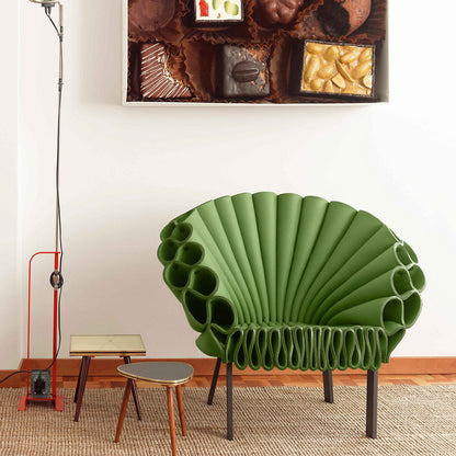 Peacock Chair