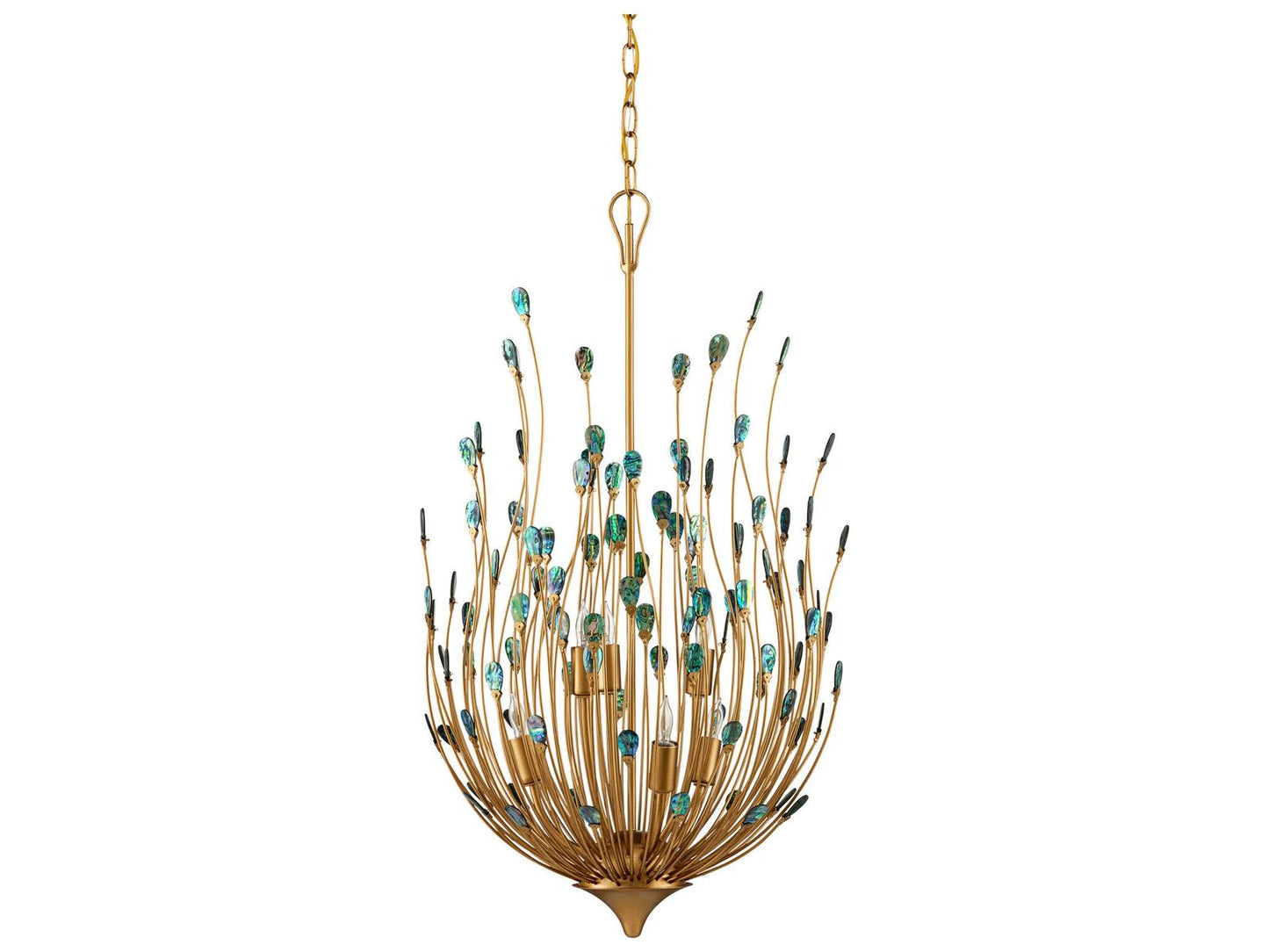 Currey & Company Currey and Company 6-Light Delphos Chandelier in Contemporary Gold with Natural Paua Shell