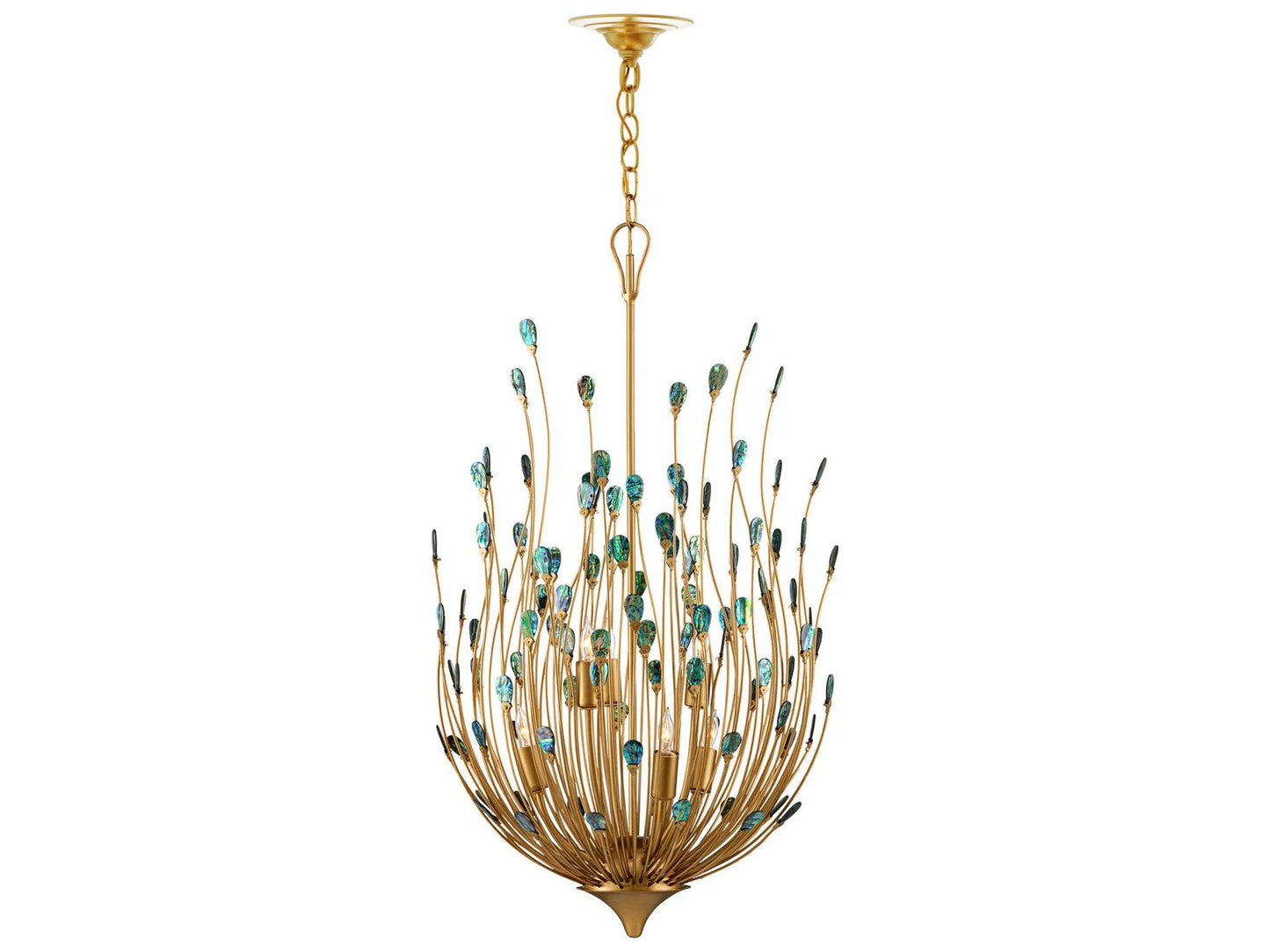 Currey & Company Currey and Company 6-Light Delphos Chandelier in Contemporary Gold with Natural Paua Shell