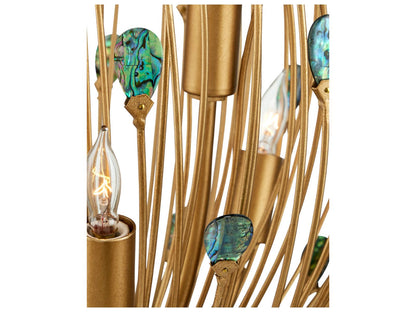 Currey & Company Currey and Company 6-Light Delphos Chandelier in Contemporary Gold with Natural Paua Shell