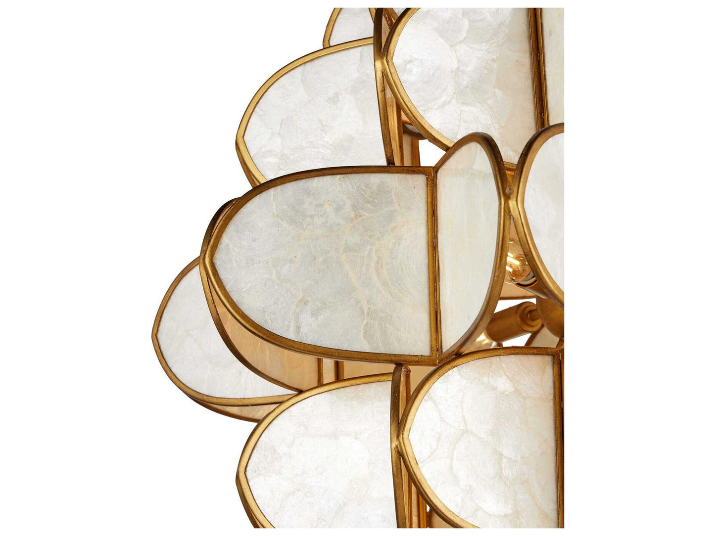 Currey & Company Currey and Company 9-Light Galatea Chandelier in Natural and Brass