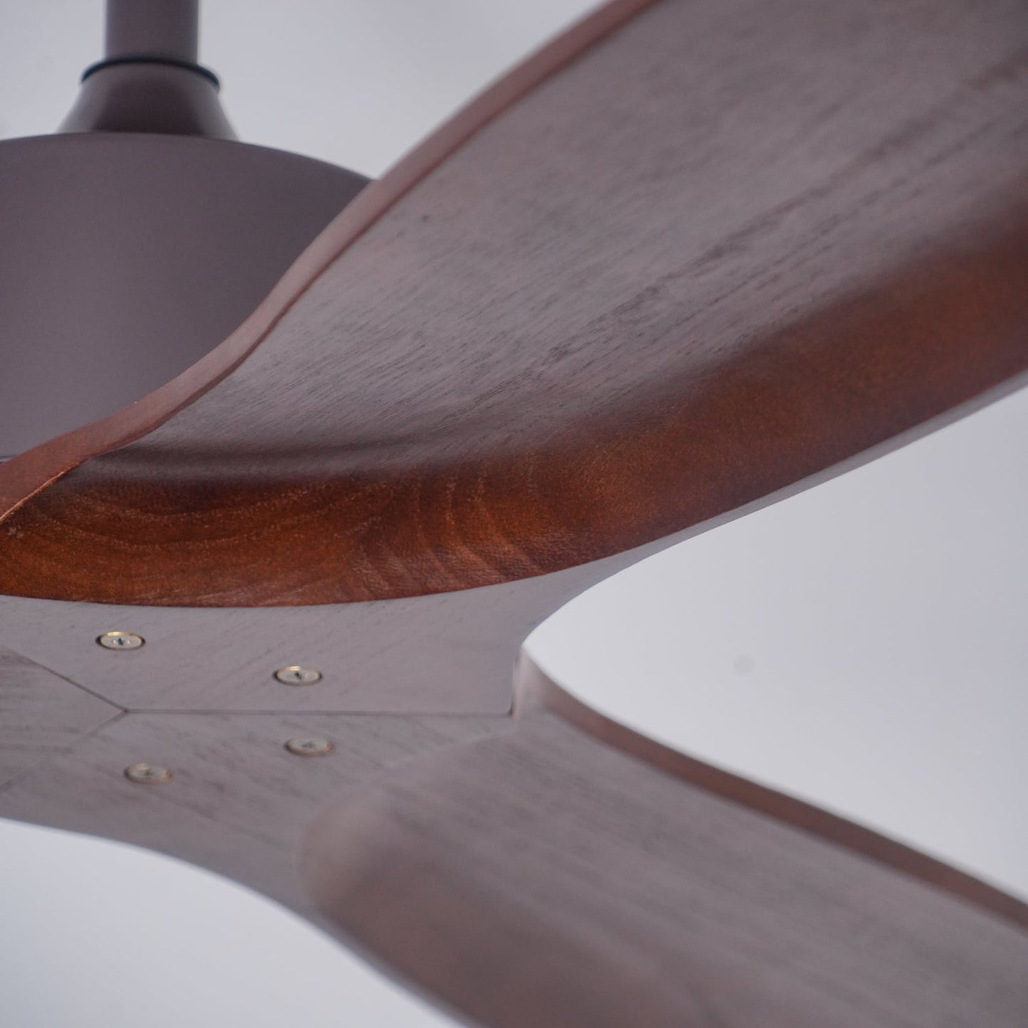 Caesar Kissel 52’’ Ceiling Fan ∅ 52″ x H 11.8″ / Walnut Wood Grain Ceiling fan light
