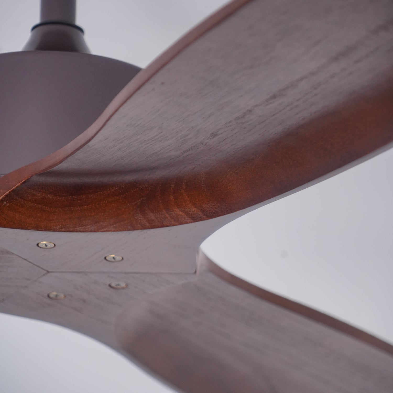 Caesar Kissel 52’’ Ceiling Fan ∅ 52″ x H 11.8″ / Walnut Wood Grain Ceiling fan light