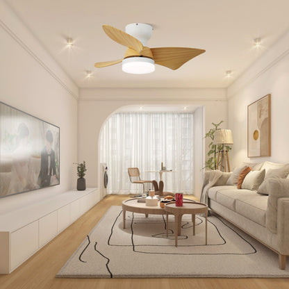 Calix 28’’ Ceiling Fan Light 1001 Ceiling fan light