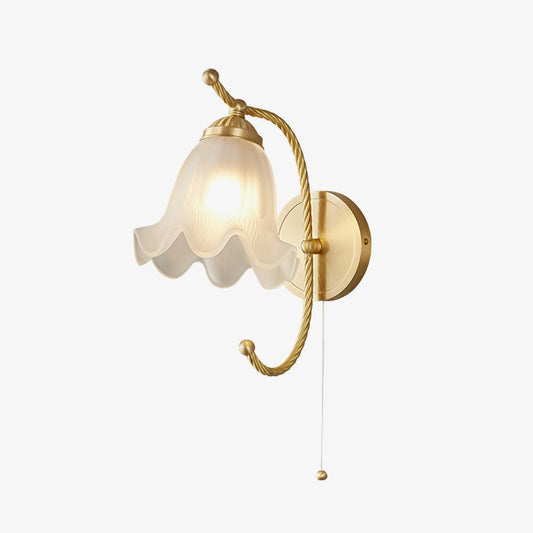 Curved Gooseneck Brass Glass Sconce Wall lamp