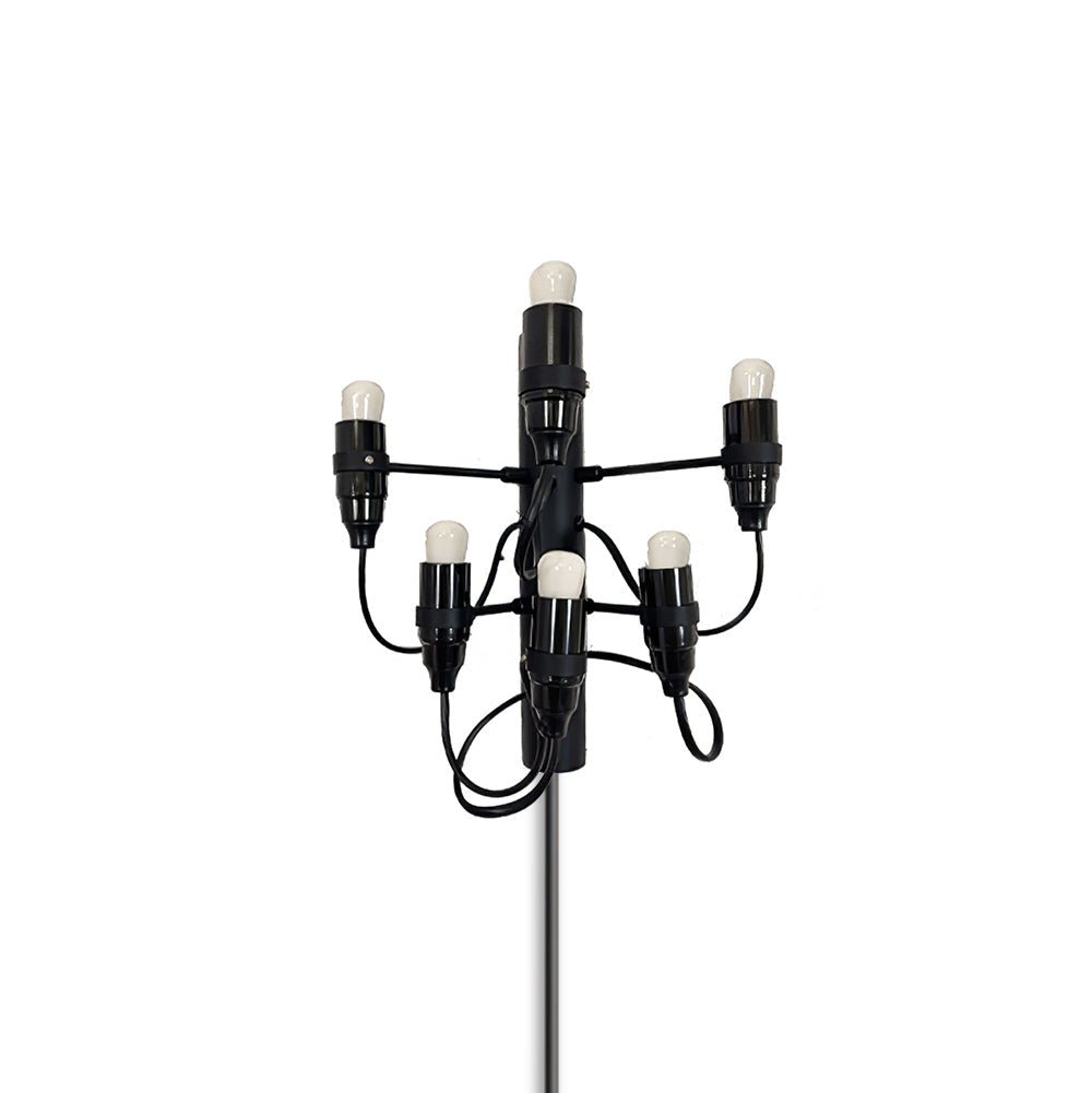 Fruit Plug-in Wall Lamp 6 Heads ∅ 9.5″ x H 10.6″ & 1 Piece / Matt black / US Plug Wall lamp