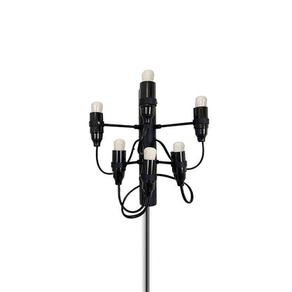 Fruit Plug-in Wall Lamp 6 Heads ∅ 9.5″ x H 10.6″ & 1 Piece / Matt black / US Plug Wall lamp