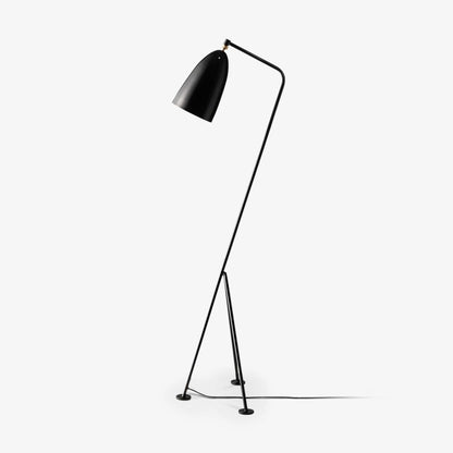 Grasshopper Floor Lamp ∅ 16.9″ x H 58.3″ / W 43cm x H 148cm / Black / US Plug Floor lamp
