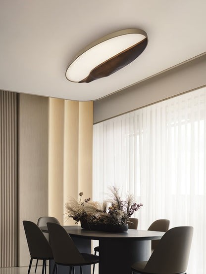 Half-Mountain Ceiling Lamp