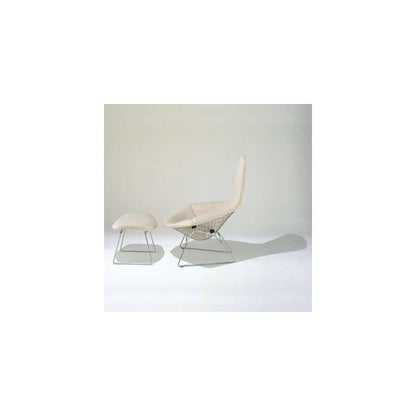 Bertoia Bird Lounge Chair