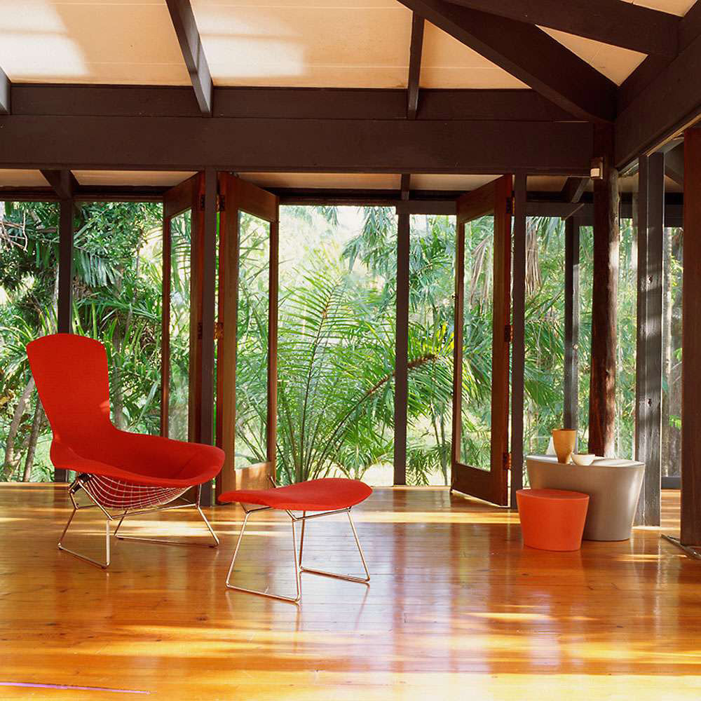 Bertoia Bird Lounge Chair