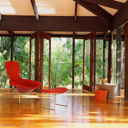 Bertoia Bird Lounge Chair