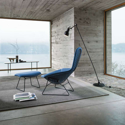 Bertoia Bird Lounge Chair