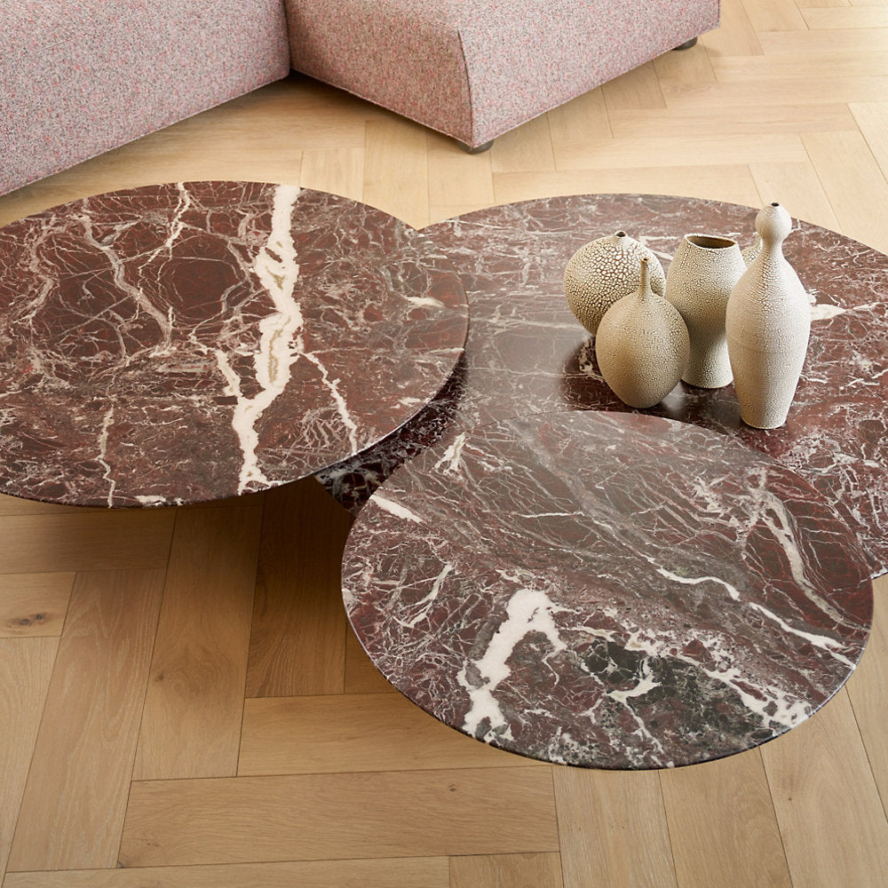 Low Grasshopper Coffee Table