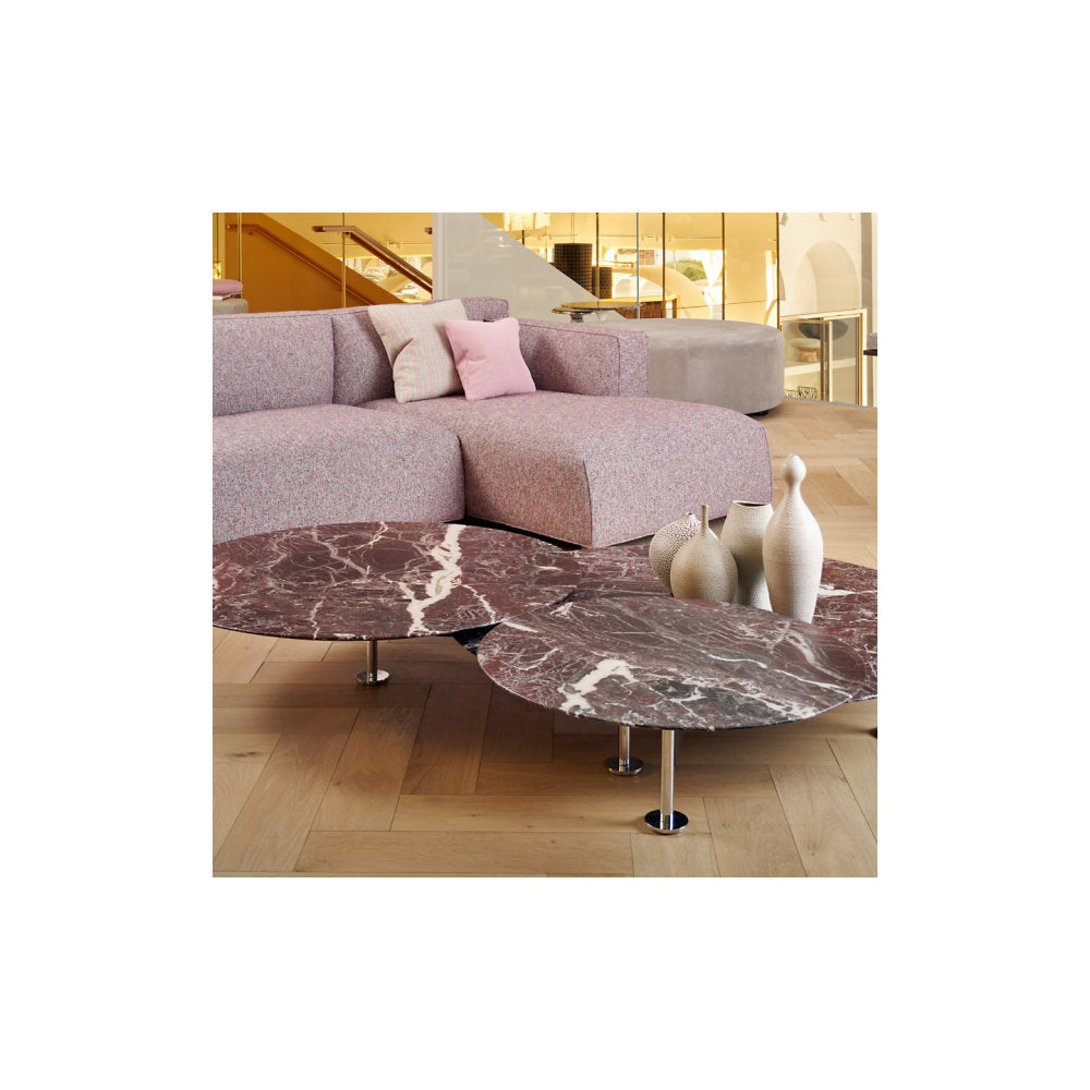 Low Grasshopper Coffee Table