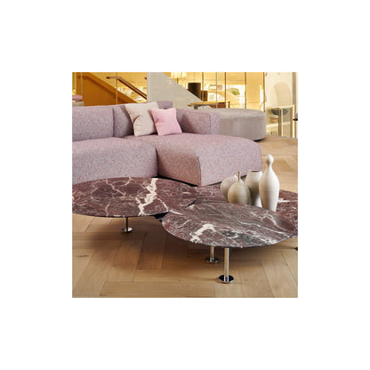 Low Grasshopper Coffee Table
