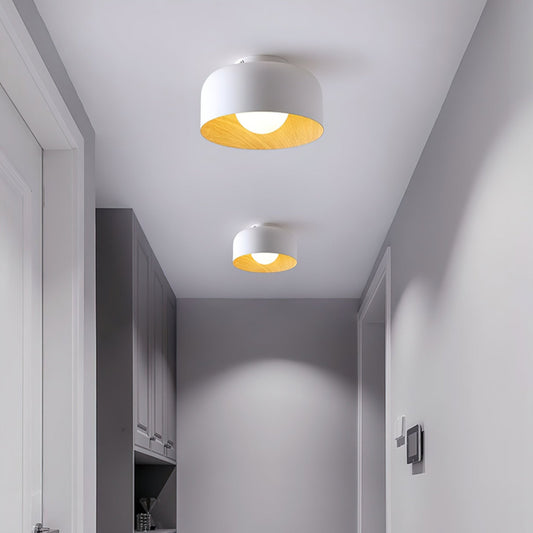 Lumosphere Ceiling Light Ceiling lamp