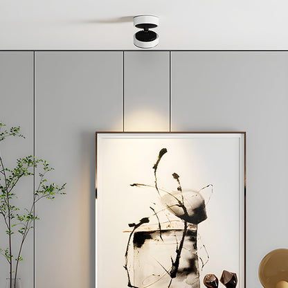 Lyric Adjustable Surface Downlight
