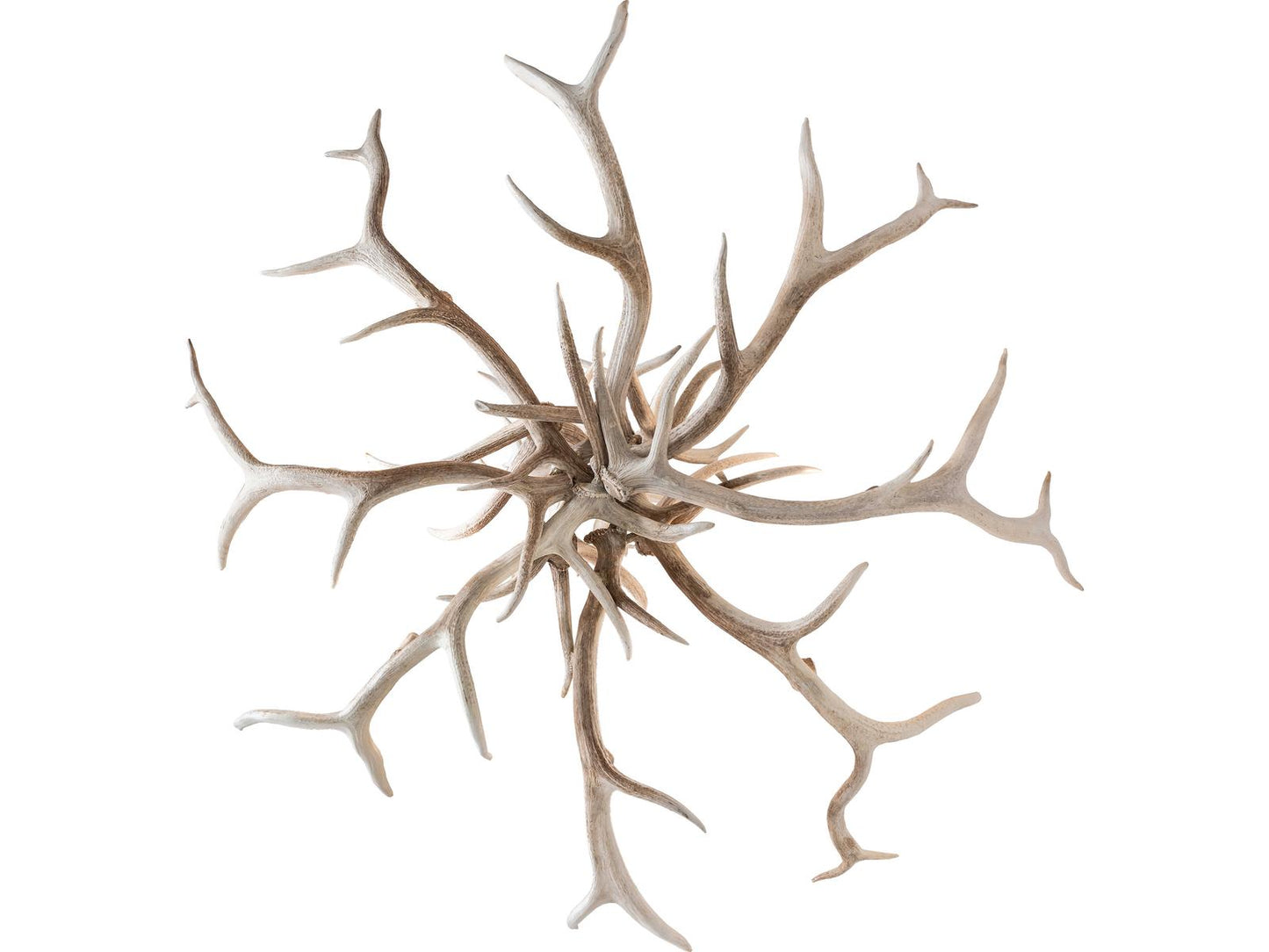 Meyda Antlers 8-Light Bleached Antler Chandelier in Off White