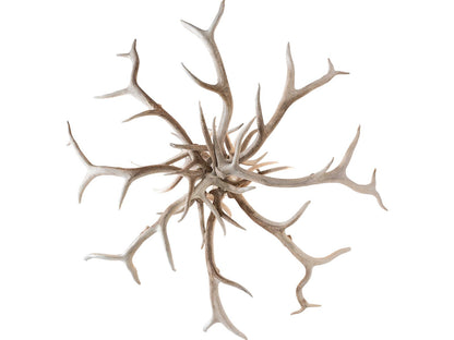 Meyda Antlers 8-Light Bleached Antler Chandelier in Off White