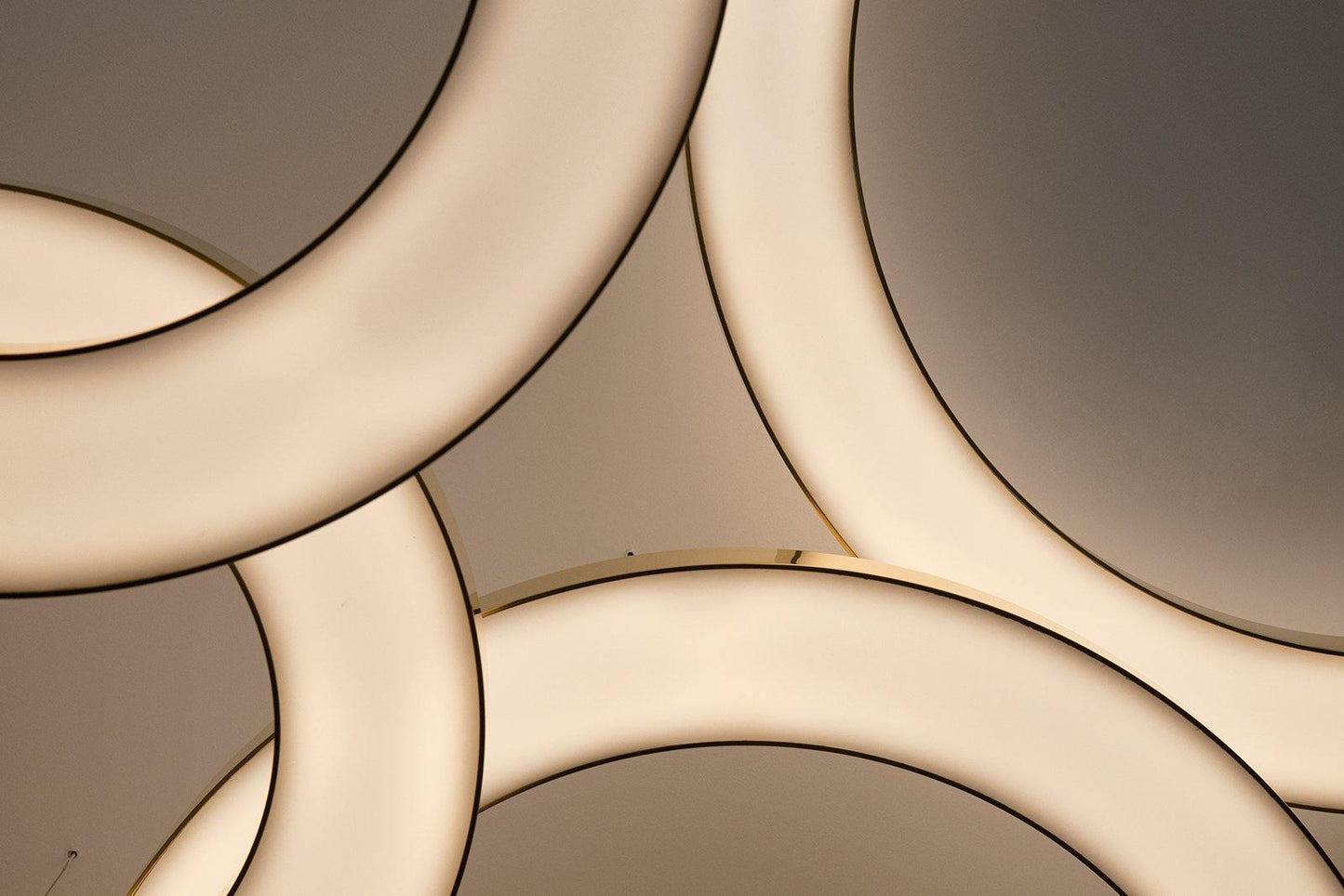 Ring LED Pendant Light