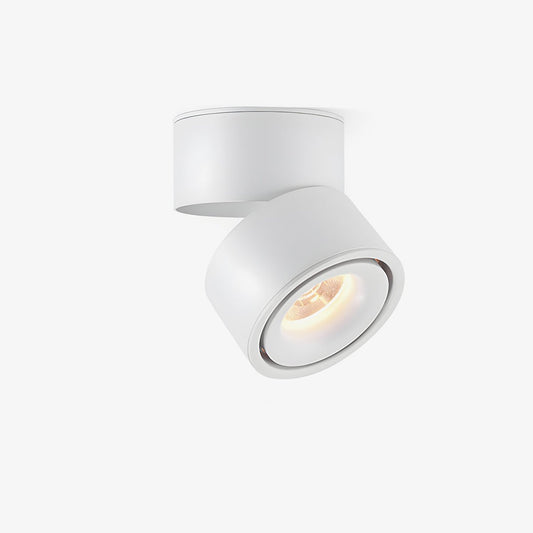 Rotatable Spotlight Ceiling Light Ceiling lamp