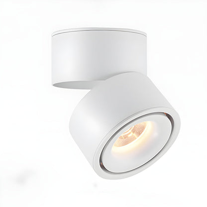 Rotatable Spotlight Ceiling Light ∅ 3.9″ x H 3.9″ / White / Warm Light Ceiling lamp