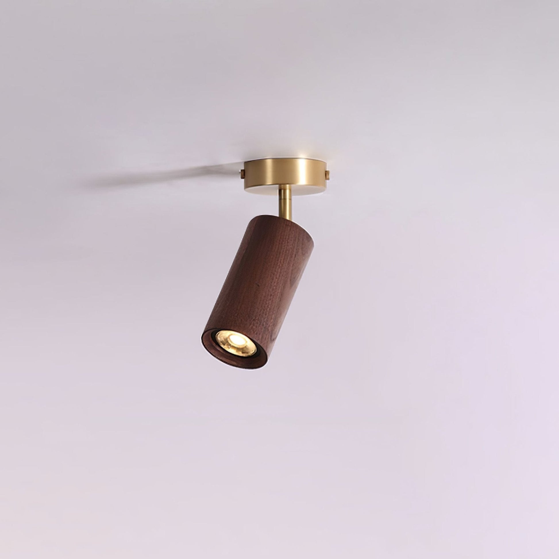 Rowan Ceiling Light 1 head: ∅ 3.1″ x H 8.7″ / Walnut color & Gold / Warm Light 1001 Ceiling lamp